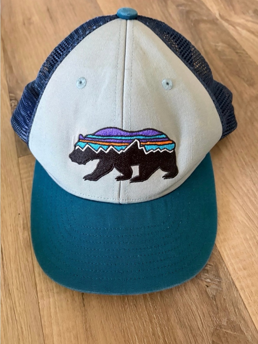 Patagonia P-6 Fitz Roy Bear Trucker Hat Mesh Snapback Gray Blue Adjustable Cap
